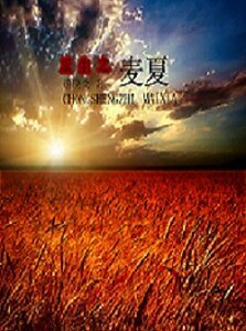 重生之麥夏
