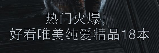 热门火爆！好看唯美纯爱精品18本